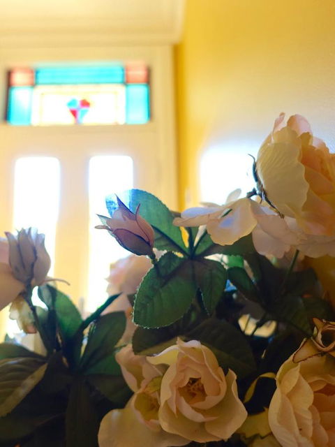 The Blacksmiths Cottage - Accommodation Rockhampton 16