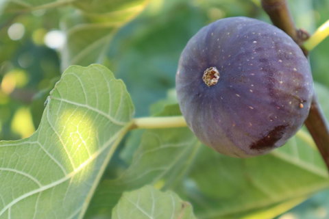 Cockburn Retreat Home æŸæ–¯æ‚ é–’æ°‘å®¿ - Accommodation Rockhampton 25