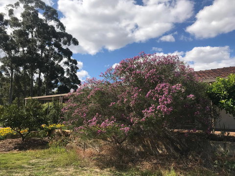 Cockburn Retreat Home æŸæ–¯æ‚ é–’æ°‘å®¿ - Accommodation Rockhampton 0