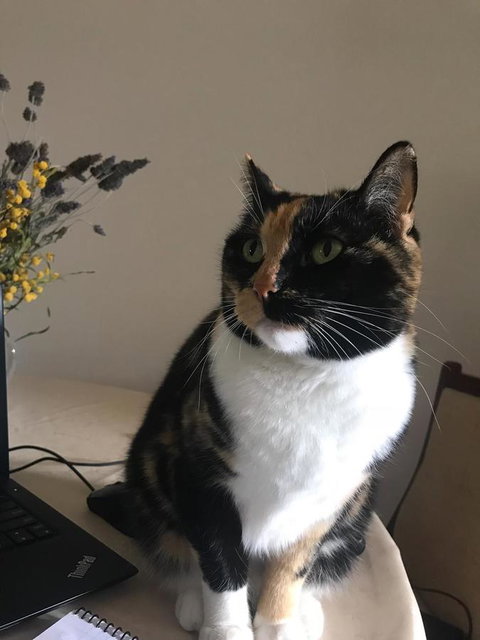 Cockburn Retreat Home æŸæ–¯æ‚ é–’æ°‘å®¿ - Accommodation Rockhampton 29