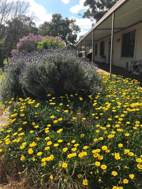 Cockburn Retreat Home æŸæ–¯æ‚ é–’æ°‘å®¿ - Accommodation Rockhampton 3