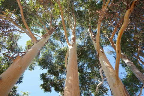 Cockburn Retreat Home æŸæ–¯æ‚ é–’æ°‘å®¿ - Accommodation Rockhampton 19