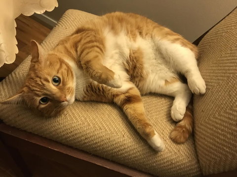 Cockburn Retreat Home æŸæ–¯æ‚ é–’æ°‘å®¿ - Accommodation Rockhampton 28