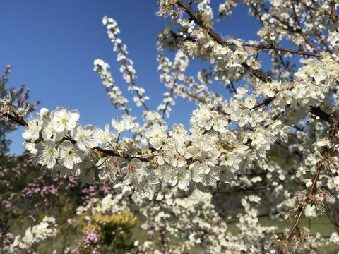 Cockburn Retreat Home æŸæ–¯æ‚ é–’æ°‘å®¿ - Accommodation Rockhampton 27