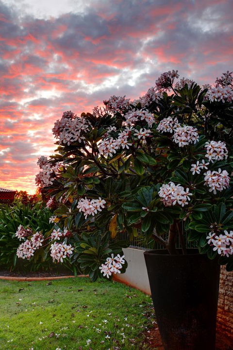 Mantra Frangipani Broome - Accommodation Rockhampton 35