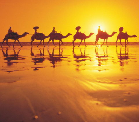 Mantra Frangipani Broome - Accommodation Rockhampton 6