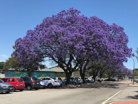 Gerring Court With Free 1 Car Bay Parking - Accommodation Rockhampton 20