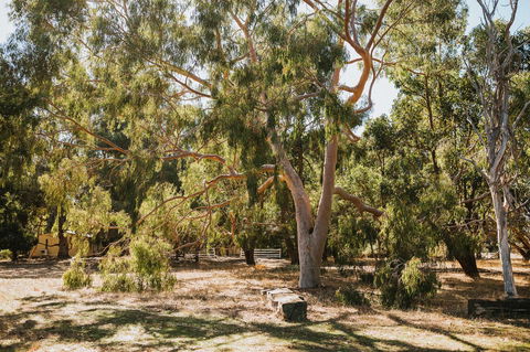 Margaret River Holiday Cottages - Accommodation Rockhampton 16