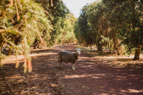 Margaret River Holiday Cottages - Accommodation Rockhampton 21