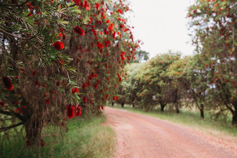Margaret River Holiday Cottages - Accommodation Rockhampton 17