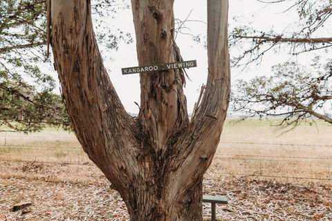 Margaret River Holiday Cottages - Accommodation Rockhampton 20