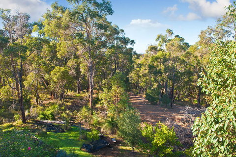 A Hidden Bush Delight - Accommodation Rockhampton 30