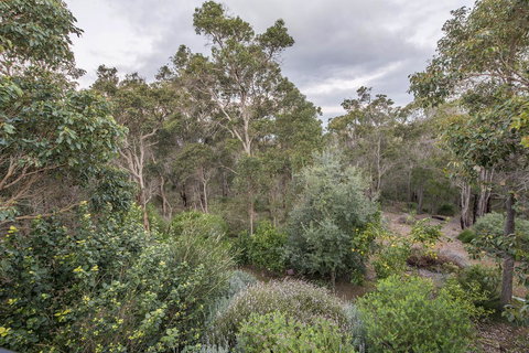 A Hidden Bush Delight - Accommodation Rockhampton 7