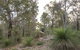 A Hidden Bush Delight - thumb 23