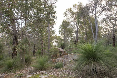 A Hidden Bush Delight - Accommodation Rockhampton 23