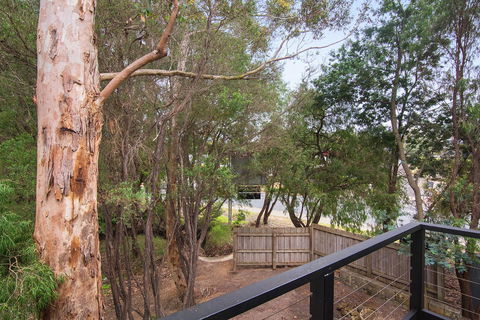 Margarets Forest - Accommodation Rockhampton 12