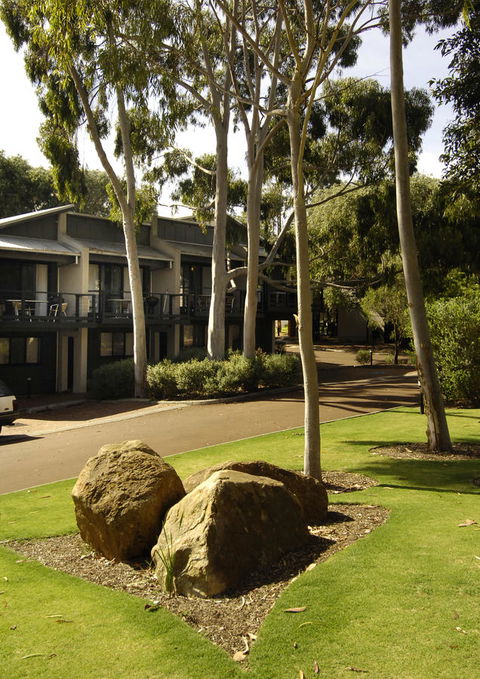 Margarets Forest - Accommodation Rockhampton 34