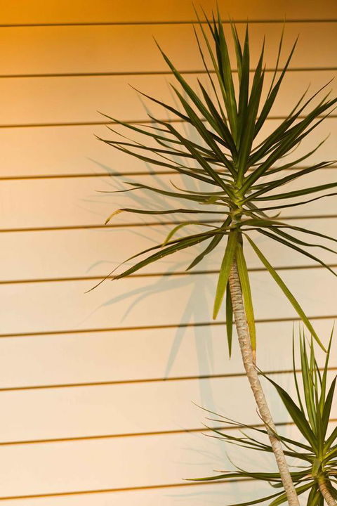 The Billi Resort - Accommodation Rockhampton 44