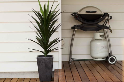 The Billi Resort - Accommodation Rockhampton 30