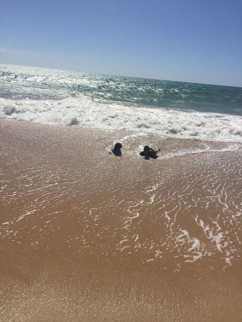 Beach House At SeaScapes.. - Accommodation Rockhampton 30