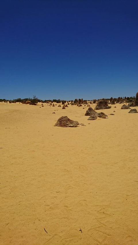 The Bothy Lancelin Family Retreat - Accommodation Rockhampton 35