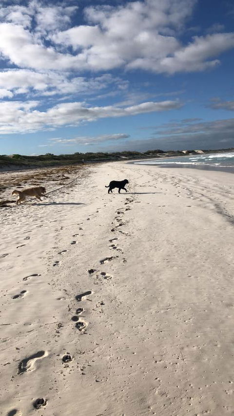 The Bothy Lancelin Family Retreat - Accommodation Rockhampton 30