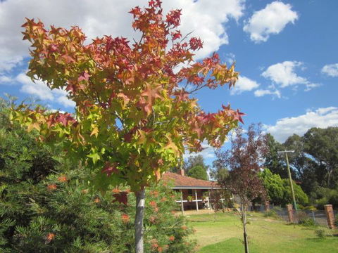 Bridgetown Valley Lodge - Accommodation Rockhampton 40