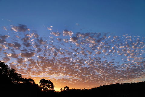 Bridgetown Valley Lodge - Accommodation Rockhampton 6