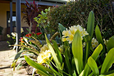 Vintages Accommodation - Accommodation Rockhampton 19
