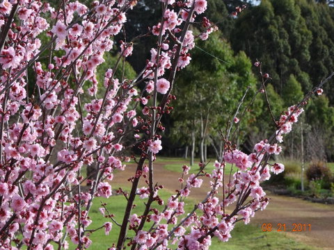 Big Brook Retreat - Accommodation Rockhampton 9