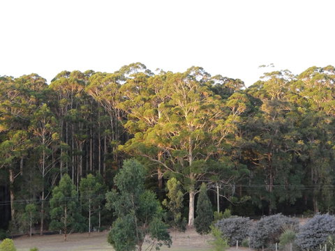 Big Brook Retreat - Accommodation Rockhampton 11