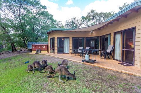 Yelverton Brook Conservation Sanctuary - Accommodation Rockhampton 18