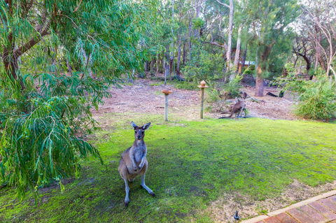 Yelverton Brook Conservation Sanctuary - Accommodation Rockhampton 11