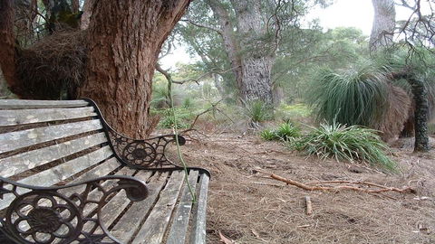 Yelverton Brook Conservation Sanctuary - Accommodation Rockhampton 42