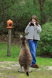Yelverton Brook Conservation Sanctuary - Accommodation Rockhampton 39