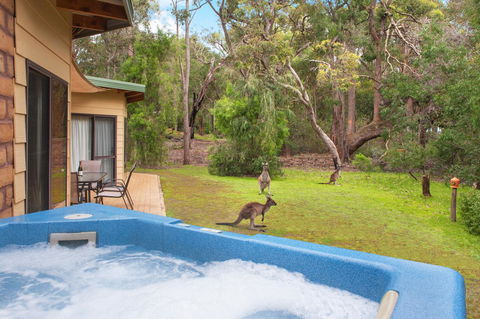 Yelverton Brook Conservation Sanctuary - Accommodation Rockhampton 9