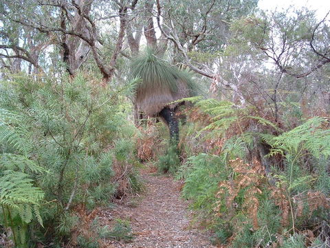 Yelverton Brook Conservation Sanctuary - Accommodation Rockhampton 41