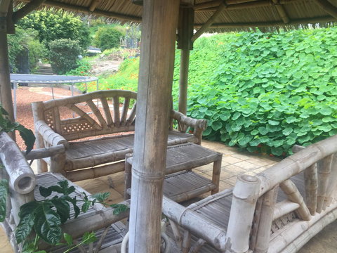 Bright & Beautiful Home On The Hills! - Accommodation Rockhampton 25