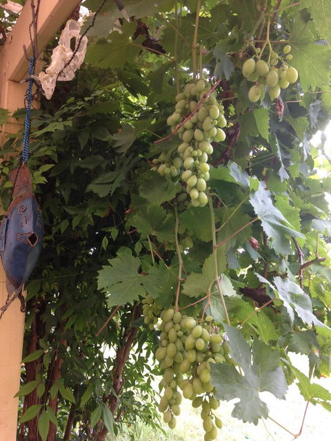 Bright & Beautiful Home On The Hills! - Accommodation Rockhampton 30