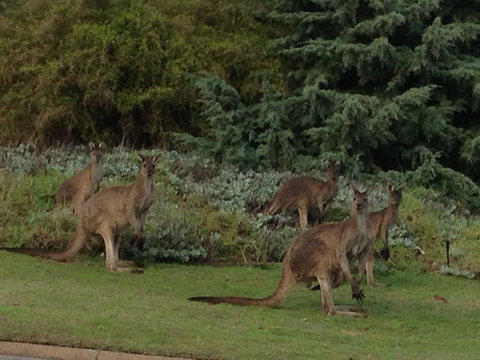 Bright & Beautiful Home On The Hills! - Accommodation Rockhampton 31