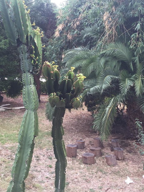 Bright & Beautiful Home On The Hills! - Accommodation Rockhampton 29