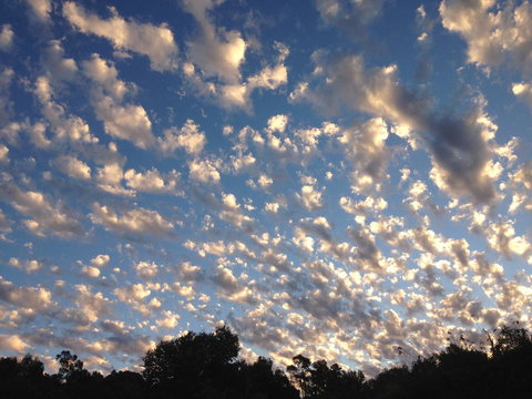 Bright & Beautiful Home On The Hills! - Accommodation Rockhampton 32