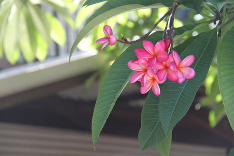 Beach House On Fox - Accommodation Rockhampton 15