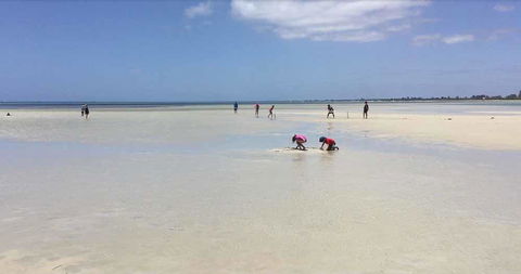 Beach House Dunsborough - Accommodation Rockhampton 22