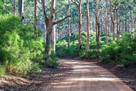 Margaret River Retreat - Accommodation Rockhampton 20