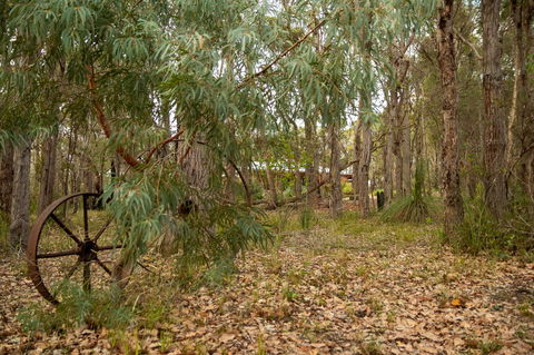 Denmark Forest Retreat - Accommodation Rockhampton 5