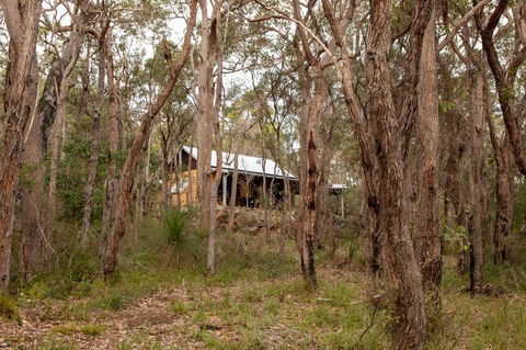 Denmark Forest Retreat - Accommodation Rockhampton 27