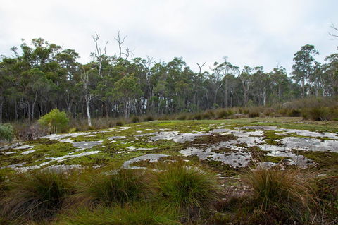 Denmark Forest Retreat - Accommodation Rockhampton 26