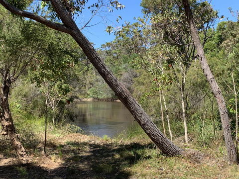 Denmark Forest Retreat - Accommodation Rockhampton 32
