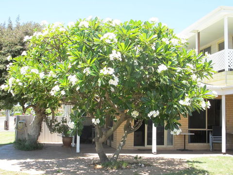 Kalbarri Riverfront Unit - Accommodation Rockhampton 6